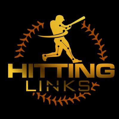 HittingLinks Profile Picture