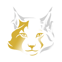 MAINE (COON) TOKEN (@mainecoon_token) 's Twitter Profile