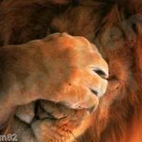 Cleliabelovewin (@cleliabelovewin) 's Twitter Profile