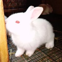 Gshftyuabsndm (@mosesm1234) 's Twitter Profile