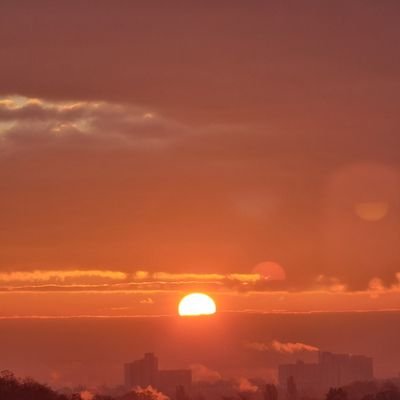 BuschiDustin's profile picture. To the Mars