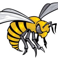 Bama State FB Recruiting (@bamastrecruits) 's Twitter Profile
