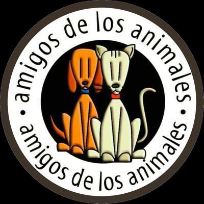 Asociación sin ánimo de lucro donde cuidamos a perros y gatos abandonados hasta conseguirles adopción ❤️