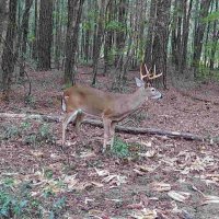 You Know Who it Is (@country2thacore) 's Twitter Profile Photo