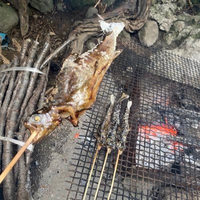 Rom_chighug's profile picture. 愚痴用