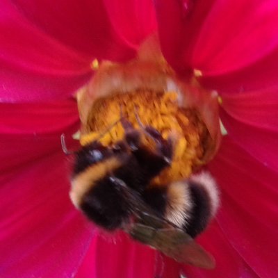 djslady28's profile picture. 