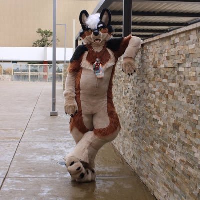 I am just an average 6,10 maned wolf enjoying life 🐾🐺🐾 HVAC tech https://t.co/8f1s2zzsPL suit made by @primalsuits
