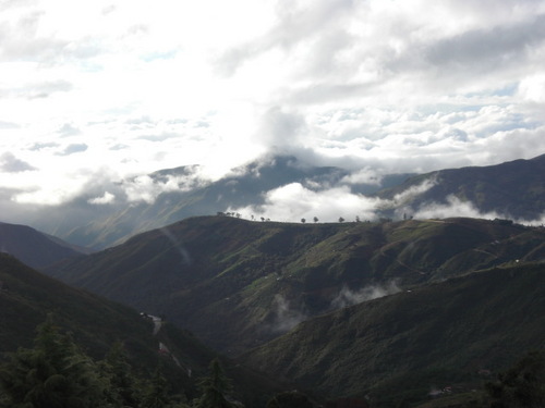 mentadoindocu's profile picture. Venezolano, autodidacta, pretendiente de poeta, absolutamente loco, artista a ratos, de fino humor, y seria capacidad de analisis