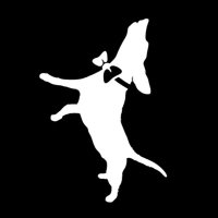 Buddy Mercury (@buddymercurydog) 's Twitter Profile