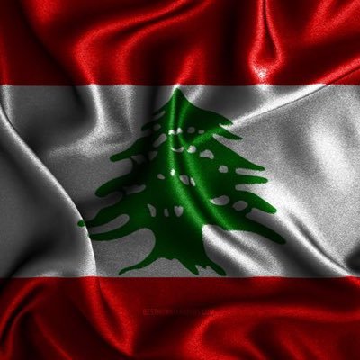 ShadiMOSTAFAA's profile picture. 