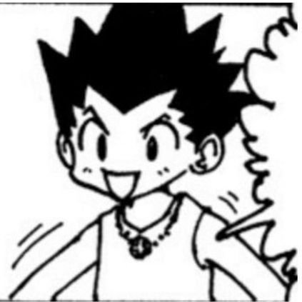 gonloops's profile picture. for gon freecss