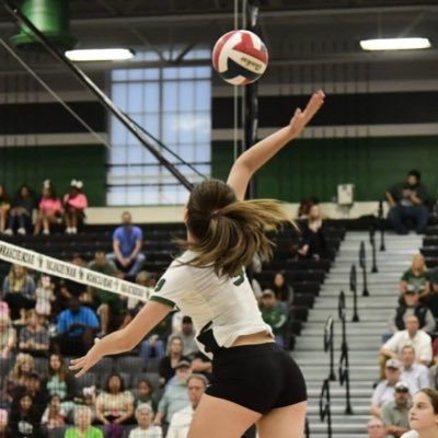 whs vb/ tx image 18 blk