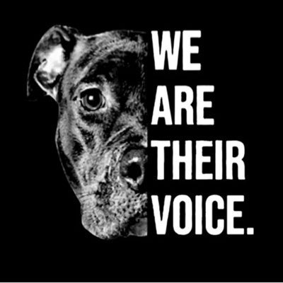 @TheAngelOrsini is an Animal Advocate #Anipal #TeamAnimal uses this for advocacy to #RescueDogs 🐶Cats😺& #Horses 🐴from being KILLED & change laws protect 🌱🌎