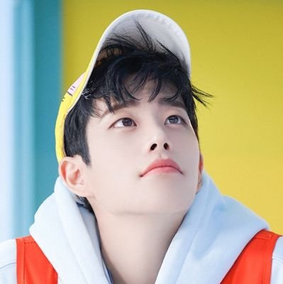 보돌さんのプロフィール画像
