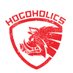 hogoholics (@hogoholics) Twitter profile photo hogoholics (@hogoholics) Twitter profile photo