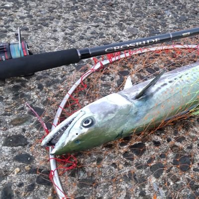 jzx100abc's profile picture. 福岡 北九州 大分で🎣
エギング ショアジギング アジング

🚯ゴミを拾って帰ろう
🌊綺麗な海を次世代に。