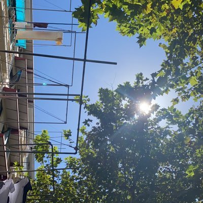 cc55752832's profile picture. 