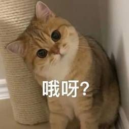 DLMEF_lu's profile picture. 已经22嘞 大叔（？）这个号用于DD，可能会有些评论不喜欢的，联系我我会删掉的，希望大家可以友好一点，哪里做的不对可以先说。？ 
弔图分享Bot（bushi）