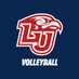 Liberty Volleyball (@LibertyWVB) Twitter profile photo