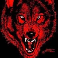 Wolfpack (@dem3307) 's Twitter Profile