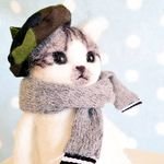 dragorum0101's profile picture. 動物・自然大好き❤️
愛猫はたまちゃん♂