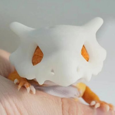 RayaoZさんのプロフィール画像