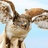 againer12's profile image