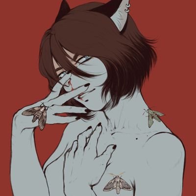 D.Cherさんのプロフィール画像