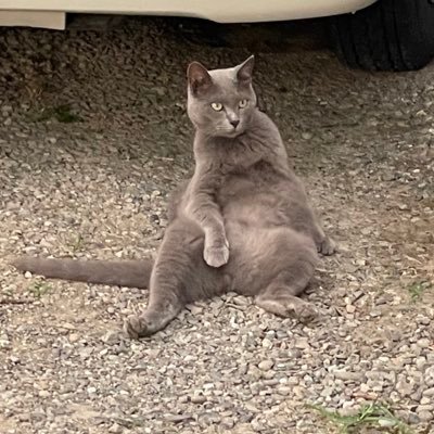 懸賞垢!!! 受け取りツイートしっかりさせていただきます☺️☺️ 友達に勧められて懸賞始めました! たのしい🎶 企画者さんよろしくお願いします!
