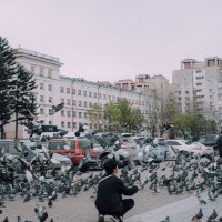 マツキヨ (@matsukiyo_twi) Twitter profile photo