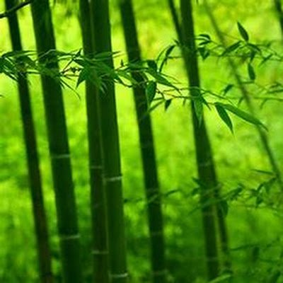 Rw0WGHWVziU4iBe's profile picture. 男です。学生です。幼タクです。VTLOVE（にじ、一部の個人勢、etc...）📢💟　⁉️　は͟ ͠ ‧͟   ݀𑁤