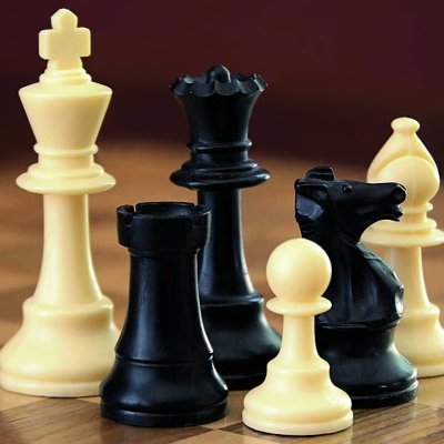 govt. service 𑄟𑄪𑄠𑄴 𑄌𑄋𑄴𑄟𑄳𑄦 (playing Chess is my hobby)