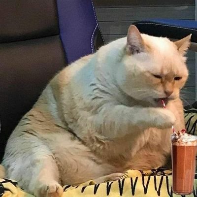 Boundlessvladde's profile picture. 