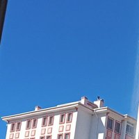 🤪 (@tasindim_yeni) Twitter profile photo