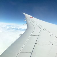 American Lemonade (@lemonade_vlog) 's Twitter Profile