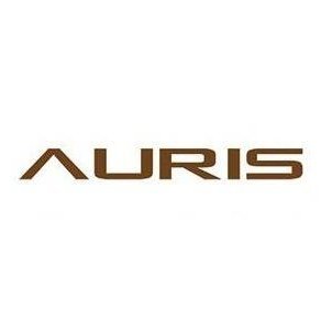 Auris Audio Profile