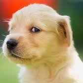 ponyma188's profile picture. web3 creater gogogo