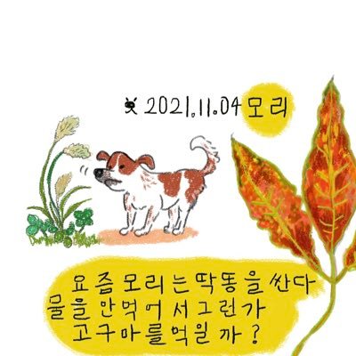 5214 개그려요さんのプロフィール画像
