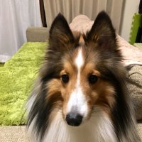 TAKASHi (@takashi2628) 's Twitter Profile