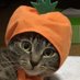 ãŠã (@3khoq2igaqdghdq) Twitter profile photo ãŠã (@3khoq2igaqdghdq) Twitter profile photo