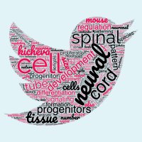 KichevaLab (@kichevalab) 's Twitter Profile Photo KichevaLab (@kichevalab) 's Twitter Profile Photo