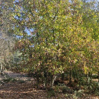 Cuenta de un parking para autocaravanas, que se encuentra ubicado en plena naturaleza, dentro de una finca forestal de gran belleza en Córdoba.