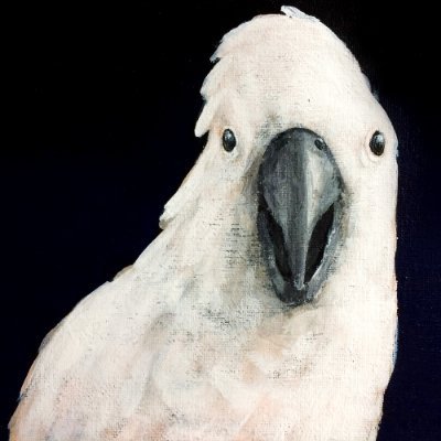 The posing birds collectionさんのプロフィール画像