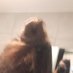 Onay (@cosmorea) Twitter profile photo Onay (@cosmorea) Twitter profile photo
