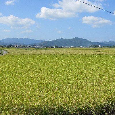 クリエイターは応援したい姿勢で