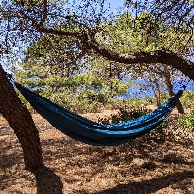 🏖️ Tweets from a hammock
💻 Codes for fun
🌴 All cognitive work will be remote