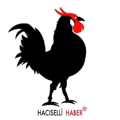 Haciselli HABER