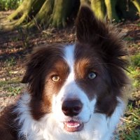 David George (@davidngeorge) 's Twitter Profile