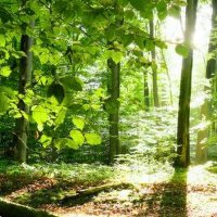 SRI SRI (@isr_999) 's Twitter Profile