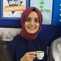 Senem AydoğduKarataş (@aydogdukaratas) Twitter profile photo